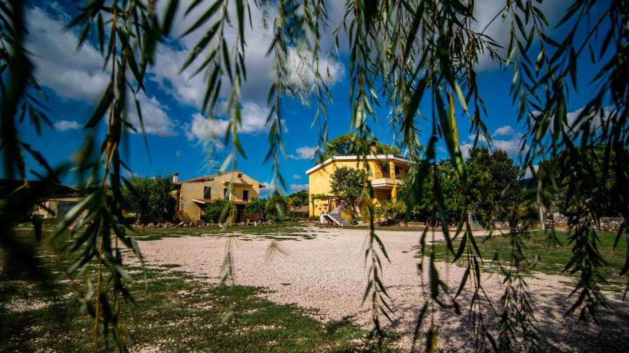 Agriturismo Carrucana Martis Eksteriør billede